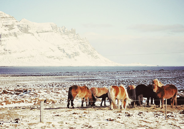 Iceland Chronicles Photo Tips